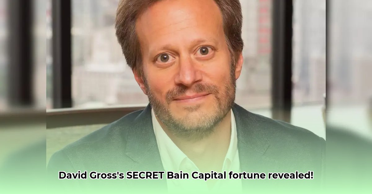 david-gross-loh-net-worth